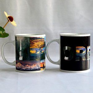 Color Changing! State of Oregon ThermoH Exray Ceramic Coffee Mug
